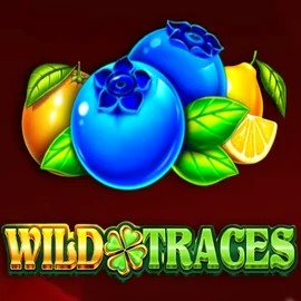 Wild Traces logo by Amusnet Interactive at Spinbara Casino